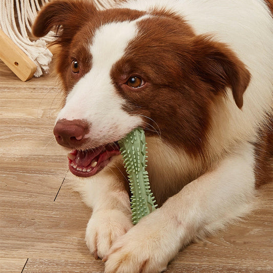 Chew Toys For Dog Teeth Cleaning.