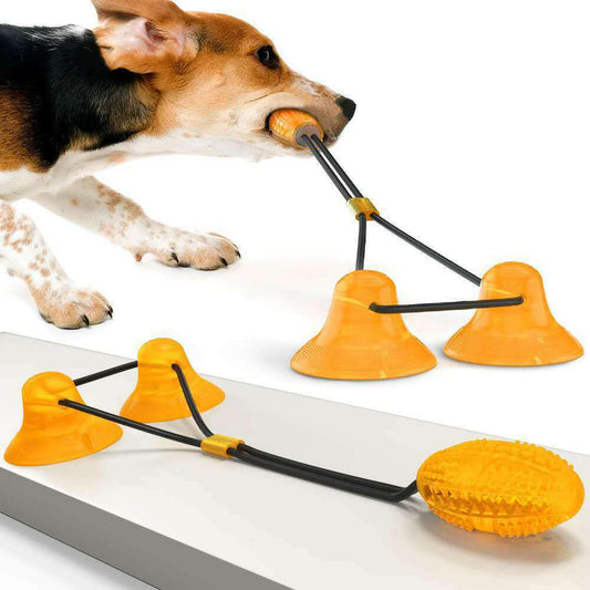 Suction Cup Pets Toys.