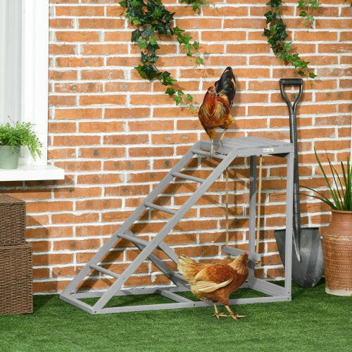 Swing Set With Chicken Perch And Hen Ladder, Chicken Coop Toys.