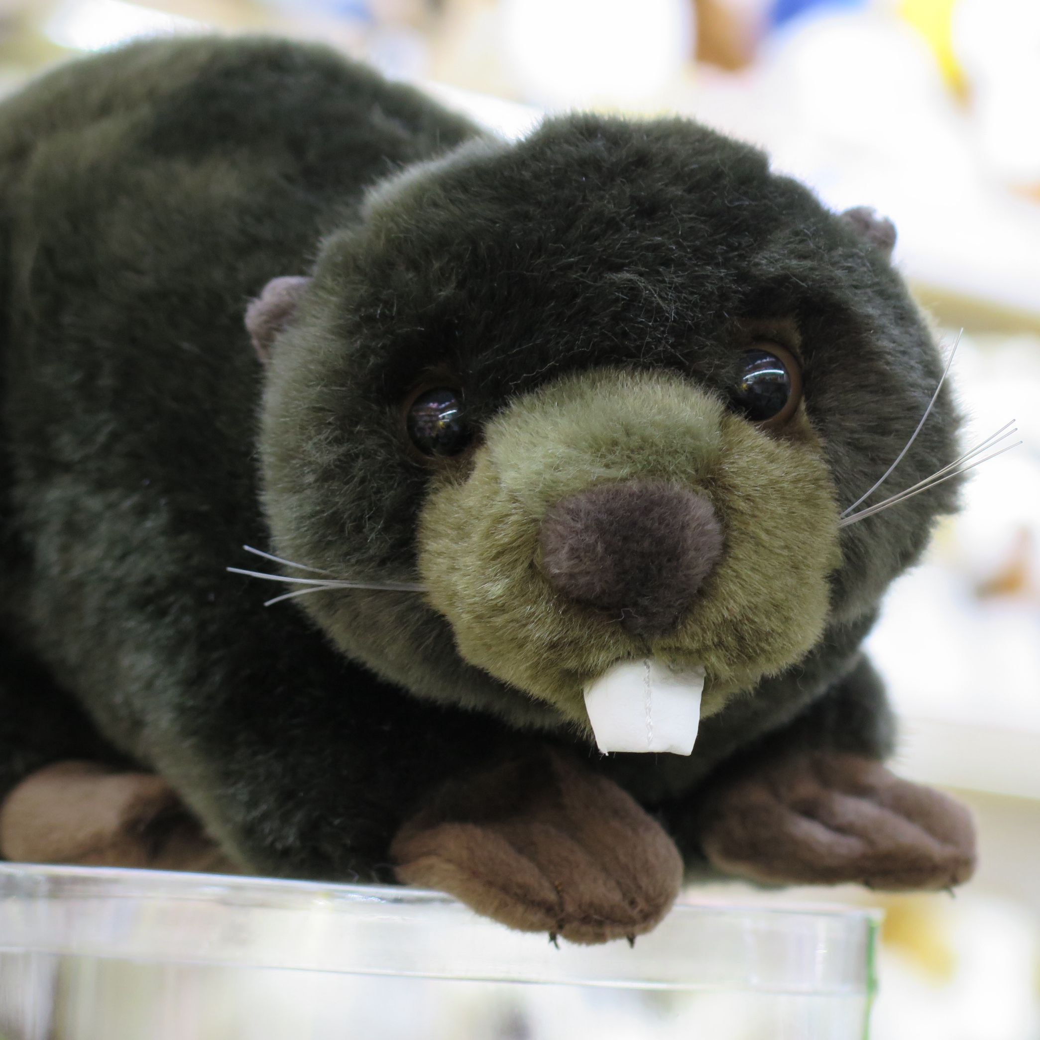 River Animal Plush Toys