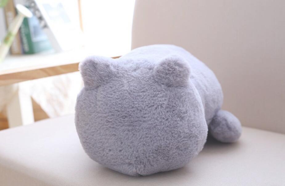 Cat Plush - Image 8