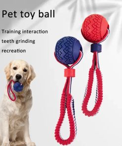 Interactive Dog Toy