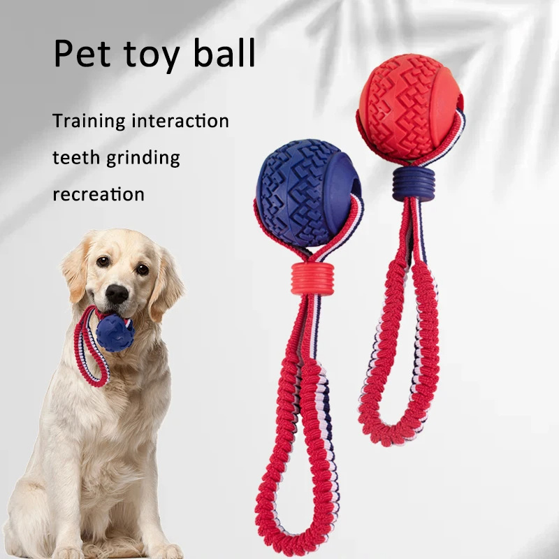 Interactive Dog Toy