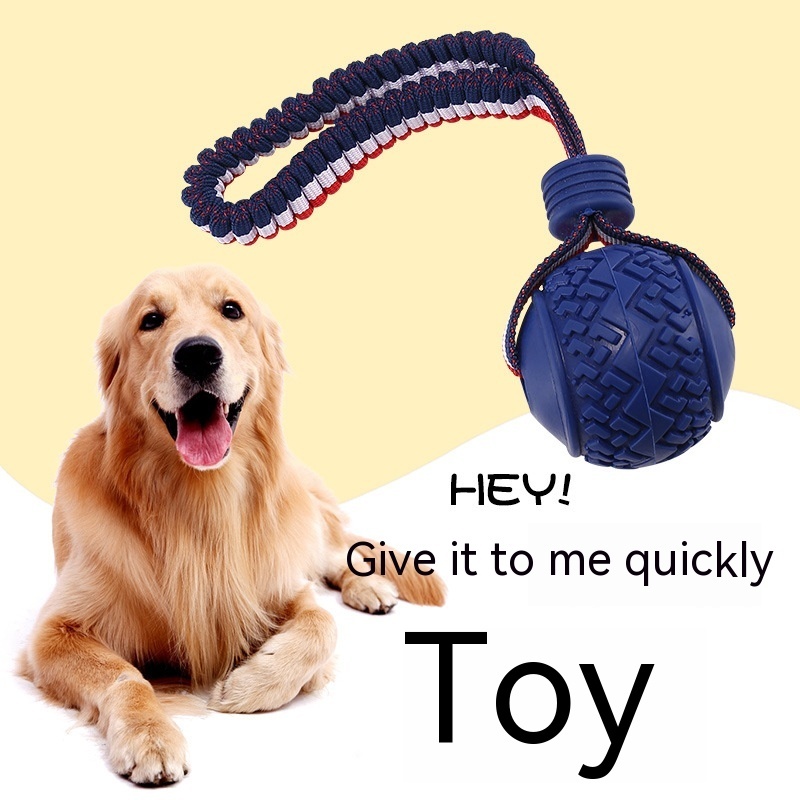 Interactive Dog Toy - Image 6