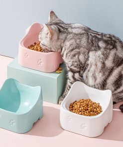 Ceramic Bowl for Pets