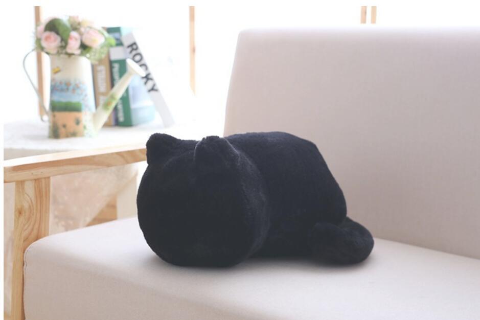 Cat Plush - Image 7