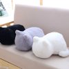 Cat Plush