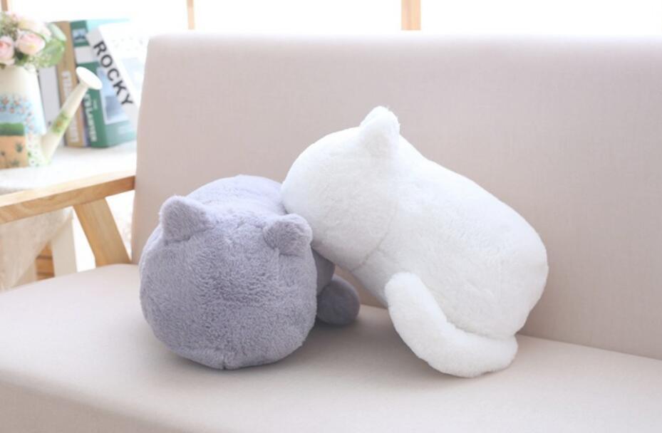 Cat Plush - Image 5