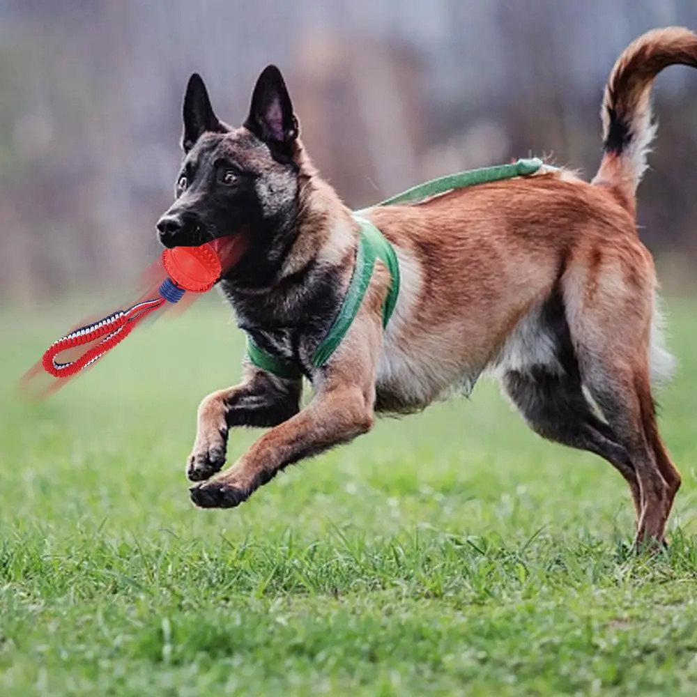 Interactive Dog Toy - Image 10