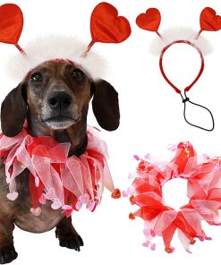 Pets Valentine's Day Decoration