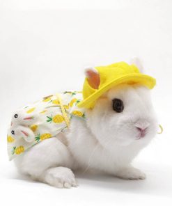 Pet Bunny Clothes Bunny Lop-eared Rabbit Ornaments